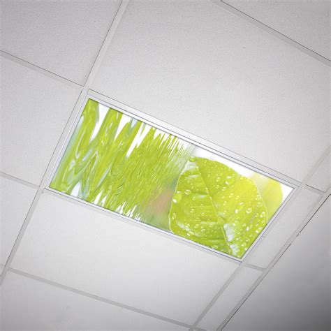 ShadeMAGIC These decorative fluorescent light covers were designed as tranquil blue light filters for florescent lights for classroom, office, business, or hospitals. . Fluorescent light filter diffuser covers